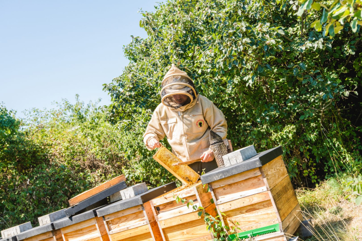 Bioimker Martin Schuch