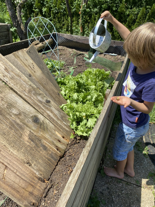 Schneckenchecker Friedrich
